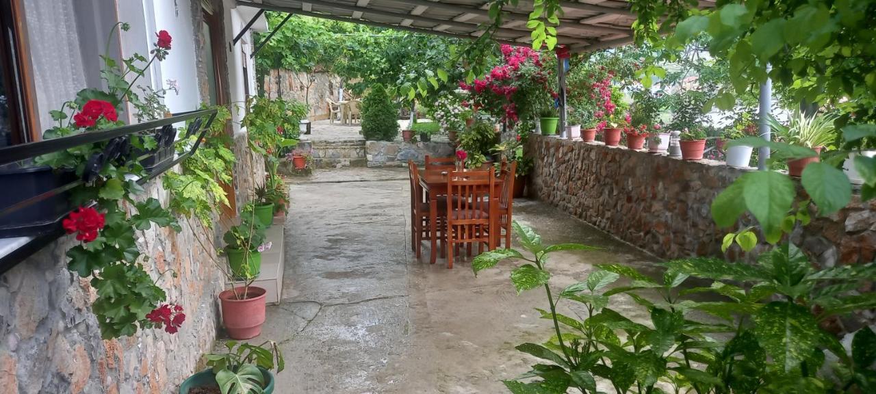 Roleo Guest House Lini Zewnętrze zdjęcie