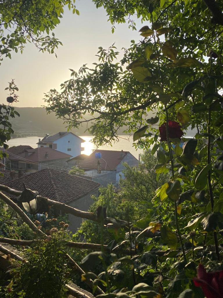 Roleo Guest House Lini Zewnętrze zdjęcie