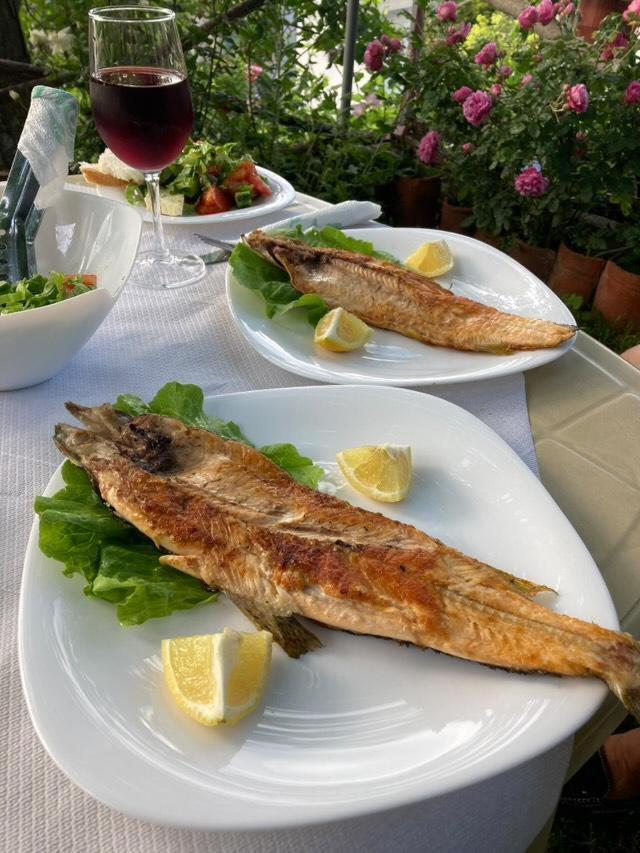 Roleo Guest House Lini Zewnętrze zdjęcie