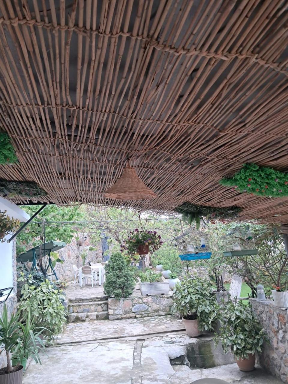 Roleo Guest House Lini Zewnętrze zdjęcie
